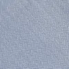 Close-up of a blue and gray herringbone fabric pattern with textured details.