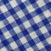 Close-up of blue and white gingham fabric pattern showing detailed woven texture.