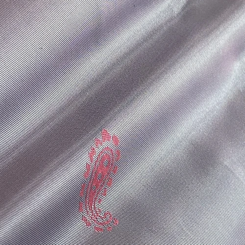 Close-up of shiny silver fabric with intricate red paisley embroidery.